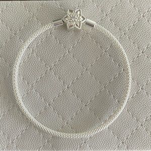 Authentic Pandora Limited Edition Mesh Bangle